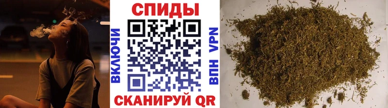 Бутират буратино  Холм 