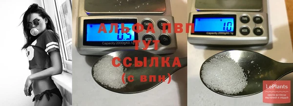 Альфа ПВП Медвежьегорск