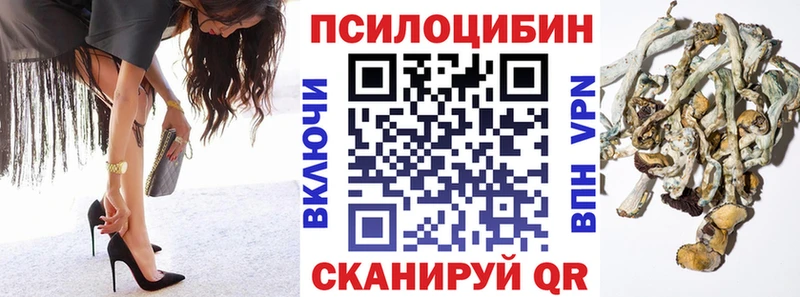 купить наркотики цена  Холм  Псилоцибиновые грибы Cubensis 